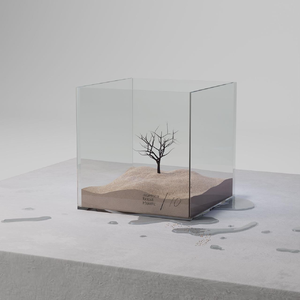 青春草视频在线
