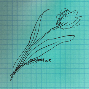 青春草视频在线
