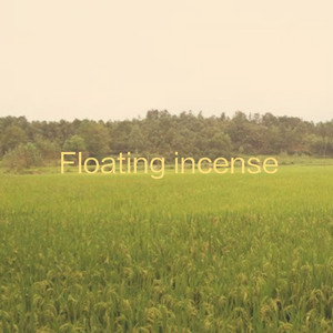 青春草视频在线
