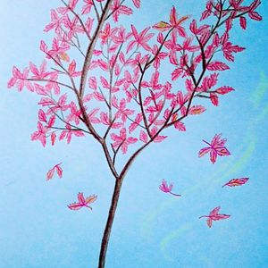 青春草视频在线
